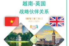 越南-英国战略伙伴关系【图表新闻】
