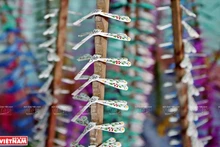 竹蜻蜓——越南乡村的独特手工艺品【组图】