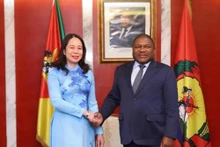 越南国家副主席武氏映春2023年访问莫桑比克期间会见了莫桑比克共和国总统菲利佩·雅辛托·纽西。（图片来源：越通社）