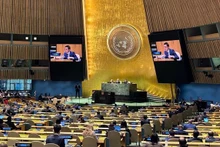 越南常驻联合国代表团团长邓黄江大使在会议上发表讲话。（图片来源：越通社）