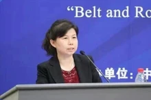 中国人民大学重阳金融研究院教授刘英。（图片来源：越通社）