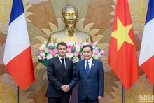 越南国会主席陈青敏会见法国总统马克龙【组图】