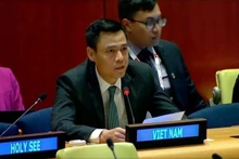 越南常驻联合国代表团团长邓黄江大使。（图片来源：越通社）