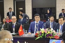 越南国会副主席武红青出席东盟议会联盟- 东盟领导人会晤筹备会议。（图片来源：越通社）