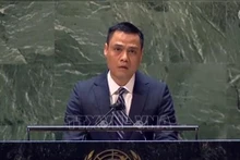 越南常驻联合国代表邓黄江大使。（图片来源：越通社）