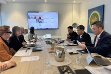 越南国会民族委员会代表团与加拿大自然资源部举行工作会谈。（图片来源：越通社）