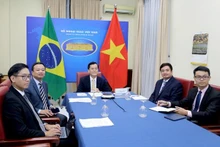 越南与巴西第八次外交部副部长级政治磋商在线召开。（图片来源：越通社）