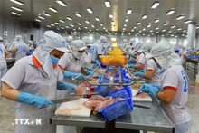 附图。（图片来源：越通社）
