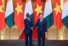 越南国会主席王廷惠主持仪式 欢迎科特迪瓦国民议会议长访越【组图】