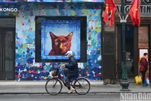 2023癸卯春节大年初一河内市宁静祥和