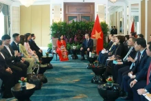 越共中央总书记苏林会见香格里拉医疗投资公司顾问、华林医疗有限责任公司联合创始人陈氏林女士。（图片来源：越通社）