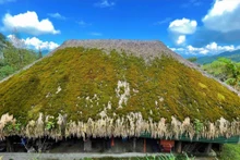 苔藓民舍——越南河江省西昆岭居民的独特民舍。