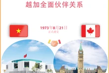 越南——加拿大建立外交关系50周年【图表新闻】