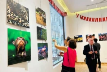 观众参观展览会。
