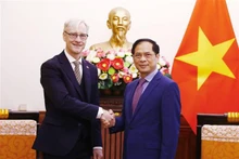 越南外交部长裴青和挪威外交部国务秘书埃尔林·里梅斯塔德。（图片来源：越通社）