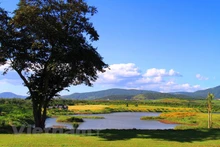 大叻市。（图片来源：越通社）