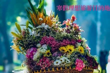 河内跻身寒假理想旅游目的地名单【图表新闻】