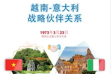越南—意大利建立战略伙伴关系10周年【图表新闻】