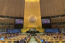 越南常驻联合国代表团团长邓黄江大使在会上发表讲话。（图片来源：越通社）