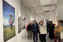 展览会共展出越南妇女之美的蒂埃里·贝恩的60张摄影作品。（图片来源：越通社）
