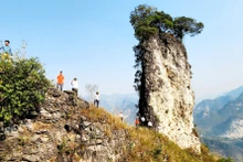 安明县在垄湖乡考察新旅游地点。