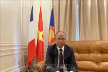 越南驻法国大使丁全胜。（图片来源：越通社）