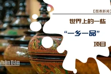 世界上的一些“一乡一品”项目【图表新闻】