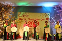 在美国举行的2023癸卯年迎新春活动中的一个文艺表演节目。（图片来源：越通社）