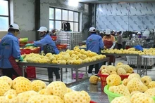 附图。
