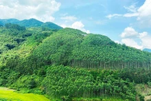 附图。