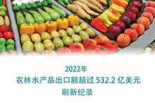 2022年农林水产品出口额超过532.2亿美元 刷新记录【图表新闻】