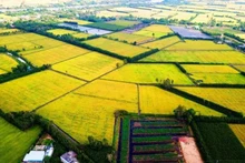 附图。