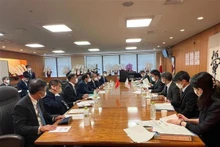 越南劳动、荣军与社会部与日本厚生劳动省的工作会谈场景。（图片来源：越通社）