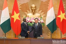 越南国会主席王廷惠同科特迪瓦国民议会议长比克多戈举行会谈。