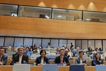 出席世界知识产权组织（WIPO）成员国大会第64届会议的越南代表团。（图片来源：科学技术部）