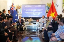 嘉莱省与澳大利亚新南威尔士州贸易投资合作对接论坛场景。（图片来源：越通社）