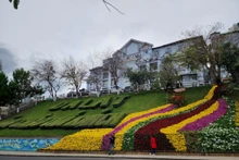 大叻市花卉节。（图片来源：青年报）