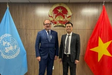 越南常驻联合国代表团团长邓黄江大使会见经济合作与发展组织驻联合国特别代表。（图片来源：越通社）