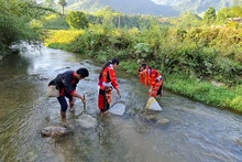 到宣光省旅游，游客可以与这里的少数民族一起体验许多农业体验。（图片来源：投资报）
