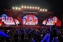2024年尽享岘港文化节开幕式上的文艺表演节目。（图片来源：越共电子报）