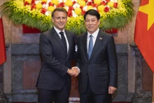 越南国家主席梁强与法国总统马克龙举行会谈【组图】