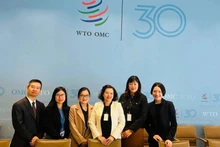 出席世界贸易组织原产地规则委员会例行会议的越南代表团。（图片来源：tapchicongthuong.vn）
