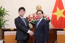 越南外交部长裴青山会见日本外务省副大臣、众议员高村正彦。（图片来源：越通社）
