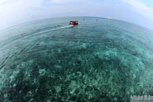 向长沙岛县和DK1海上高脚屋送爱心【组图】