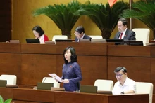 越南卫生部部长陶红兰女士发表讲话。（图片来源：越通社）