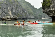 乘坐游轮探索兰夏湾之美【组图】
