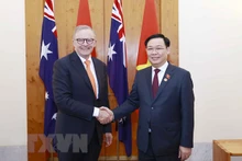 越南国会主席王廷惠会见澳大利亚总理安东尼·阿尔巴尼斯。（图片来源：越通社）
