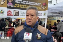 法国越南企业家协会主席阮海南接受越通社记者采访。（图片来源：越通社）