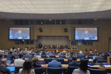 联合国裁军谈判会议场景。（图片来源：越通社）