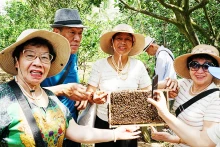 游客对蜂巢特别感兴趣。